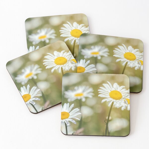 Item preview, Daisies designed and sold by jvnimages.
