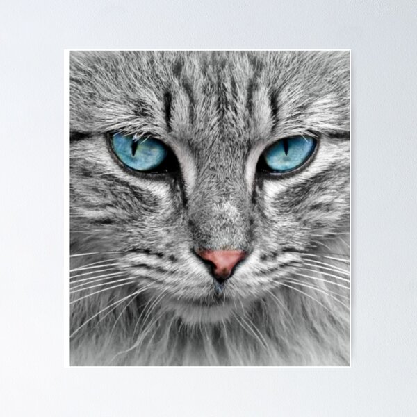 Item preview, THE LOOK OF THE CAT designed and sold by SUPERSHOPBAMBA.