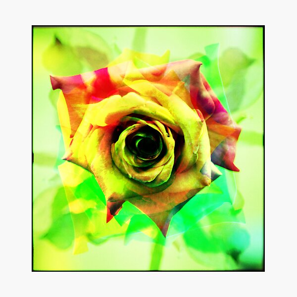 Item preview, The Rose designed and sold by LisaR.