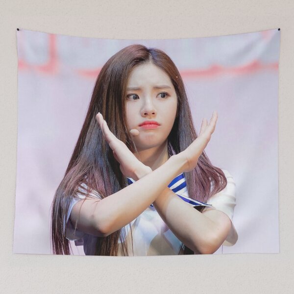 Item preview, Fromis9 jiwon / megan cute designed and sold by shaion321xd.