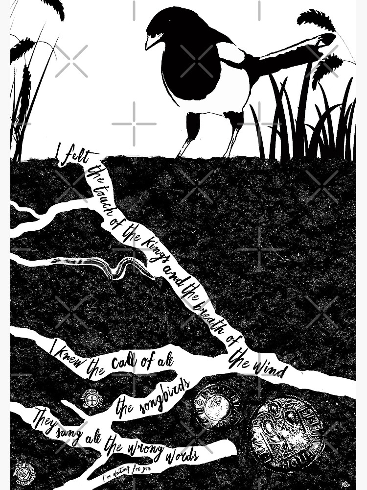 "Detectorists Johnny Flynn Lyrics Print" Photographic Print for Sale by