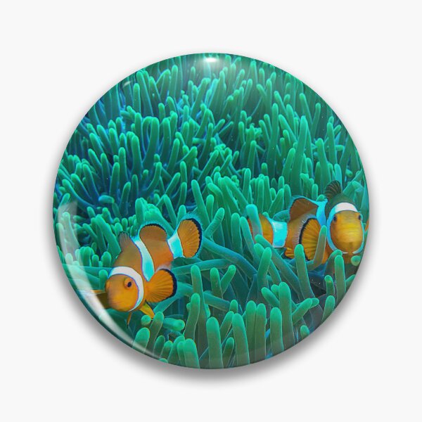 Item preview, Clownfish in the Sea Anemone designed and sold by likbatonboot.