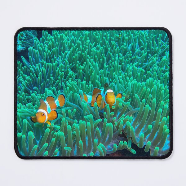 Item preview, Clownfish in the Sea Anemone designed and sold by likbatonboot.