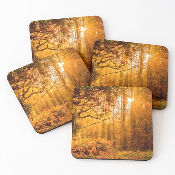 Item preview, FLORA #29 - Golden Rays of Sunlight Shining Through Sepia-Tinged Forest designed and sold by DEL-Productions.