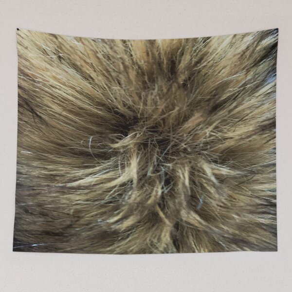 Item preview, FUR EXPLOSION designed and sold by ralphsamo.