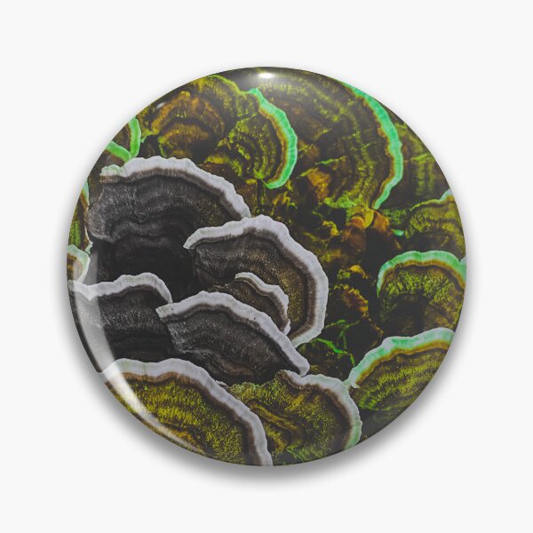 Item preview, Hen of the Woods Color Fun  designed and sold by Wolfcreek1.