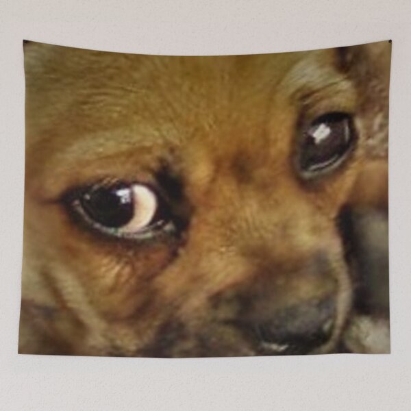 Item preview, Dog Eyes designed and sold by ralphsamo.