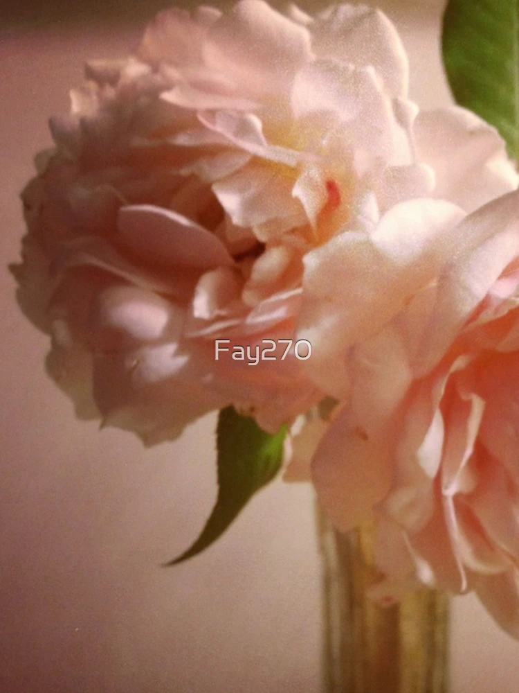 Thumbnail 4 of 4, iPhone Case, Two Roses designed and sold by Fay270.