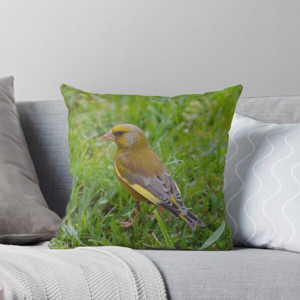 EXOTIC ~ Greenfinch by David Irwin 8fLpxYhD Throw Pillow