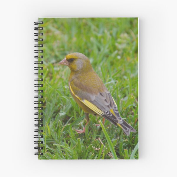 Item preview, EXOTIC ~ Greenfinch by David Irwin 8fLpxYhD designed and sold by tasmanianartist.