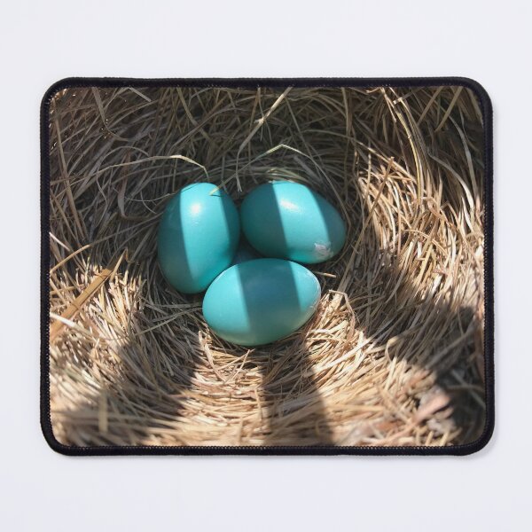 Item preview, Robin's Eggs designed and sold by JTRLandscapes.