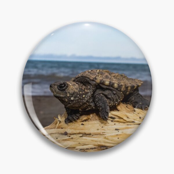Item preview, Tiny Turtle designed and sold by JTRLandscapes.