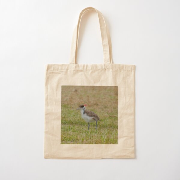 LAPWING ~ Wattled Lapwing Chick by David Irwin TqfQ5txy Cotton Tote Bag
