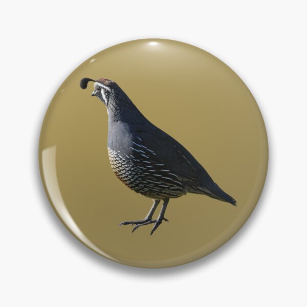 Item preview, Pretty Quail designed and sold by RainbowSpinkle.