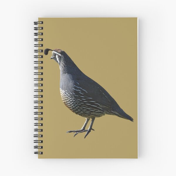 Item preview, Pretty Quail designed and sold by RainbowSpinkle.
