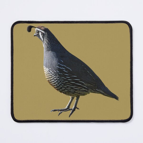 Item preview, Pretty Quail designed and sold by RainbowSpinkle.