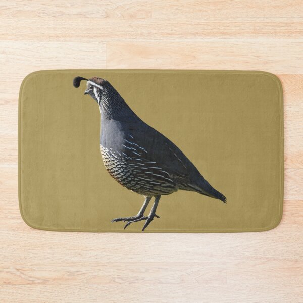 Item preview, Pretty Quail designed and sold by RainbowSpinkle.