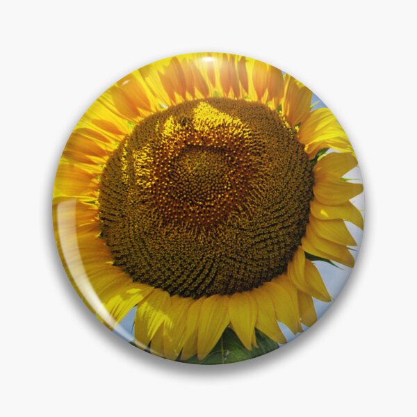 Item preview, Glorious Bright Yellow Sunflower In Majestic Blue Sky designed and sold by DEC02.