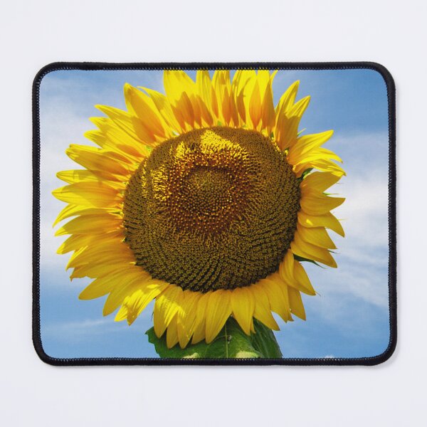 Item preview, Glorious Bright Yellow Sunflower In Majestic Blue Sky designed and sold by DEC02.