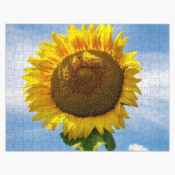 Artikel-Vorschau von Herrliche helle gelbe Sonnenblume im majestätischen blauen Himmel, designt und verkauft von DEC02.