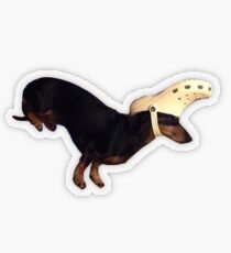 Hund trägt ein Krokodil Transparenter Sticker