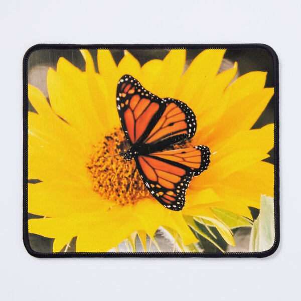 Item preview, Monarch Butterfly on Sunflower, NZ designed and sold by KiwiImages.