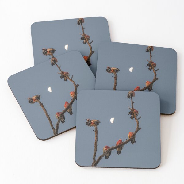 Item preview, Galahs at Dusk designed and sold by Kate Powick.