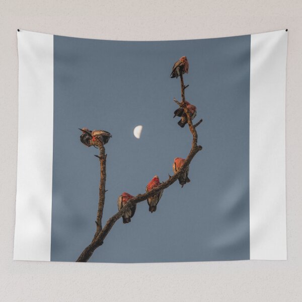 Item preview, Galahs at Dusk designed and sold by Kate Powick.