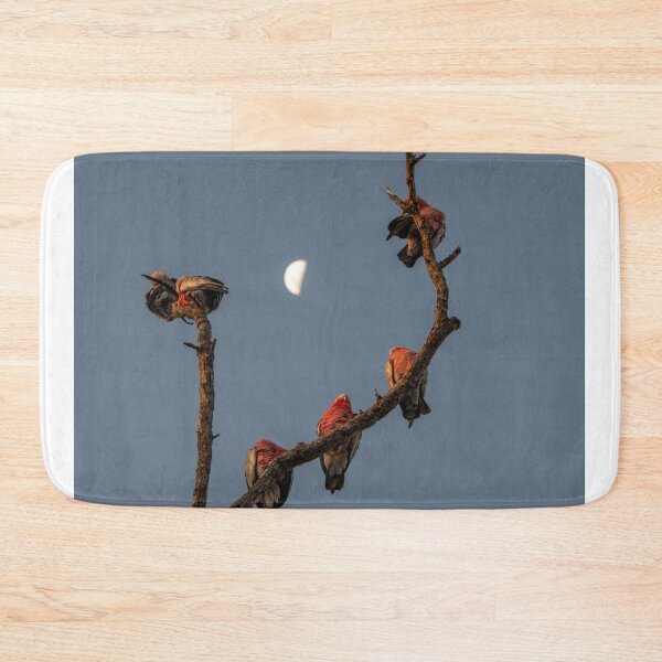 Item preview, Galahs at Dusk designed and sold by Kate Powick.