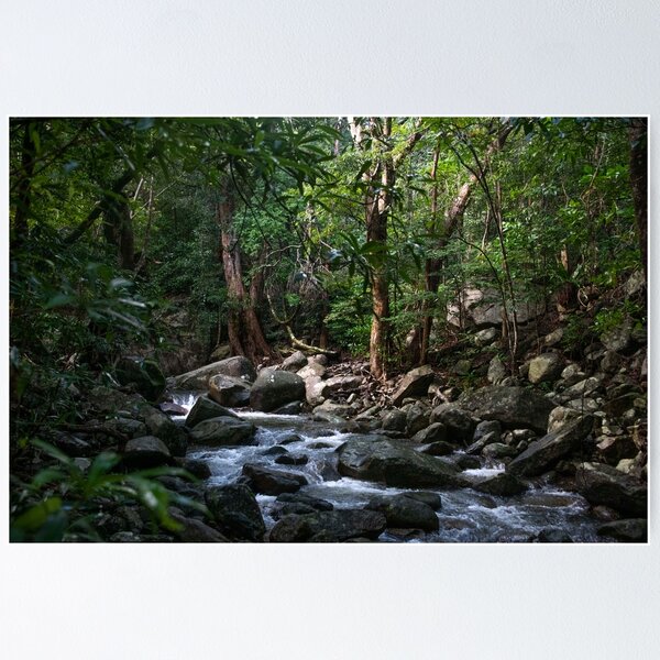 Item preview, North Queensland Rainforest designed and sold by Kate Powick.