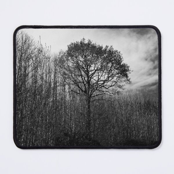 Item preview, Spooky Woodland designed and sold by ShutterSmithArt.
