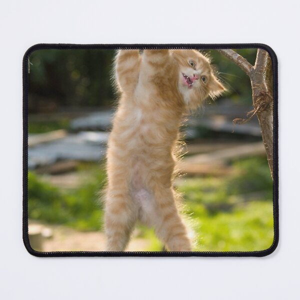Item preview, Hang in There Cat Poster - Perfect Funny Motivational Poster For Home or Office - Humorous Decor, Funny Quote Poster designed and sold by Amandawily.