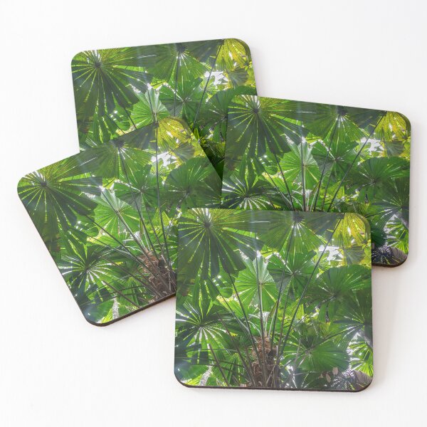 Item preview, Queensland Fan Palms designed and sold by Kate Powick.