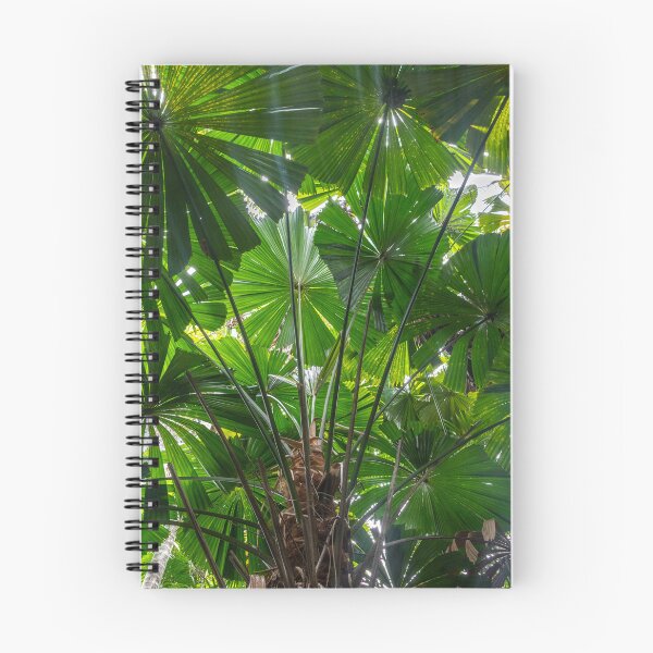Item preview, Queensland Fan Palms designed and sold by Kate Powick.