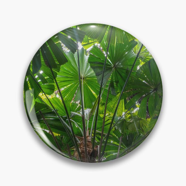 Item preview, Queensland Fan Palms designed and sold by Kate Powick.