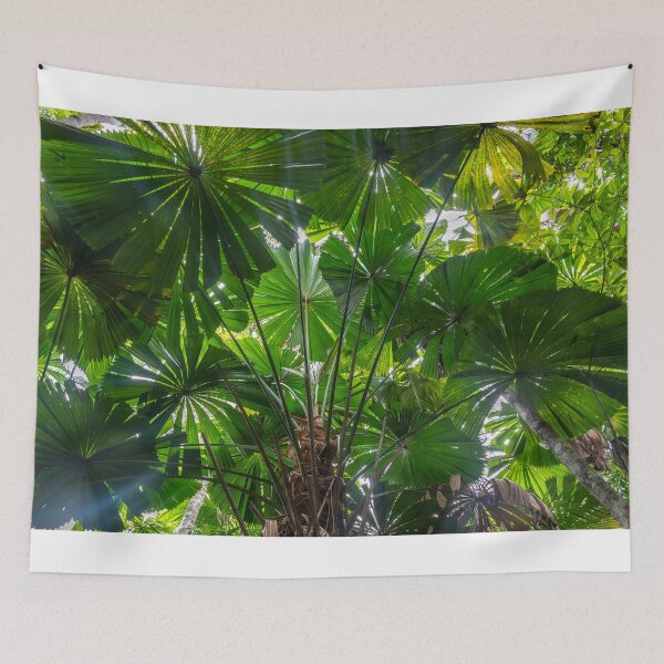 Item preview, Queensland Fan Palms designed and sold by Kate Powick.