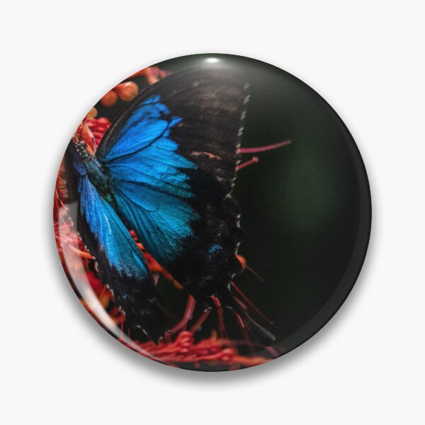 Item preview, Ulysses Butterfly Queensland designed and sold by Kate Powick.