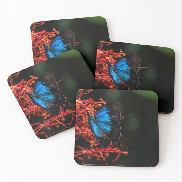Item preview, Ulysses Butterfly Queensland designed and sold by Kate Powick.