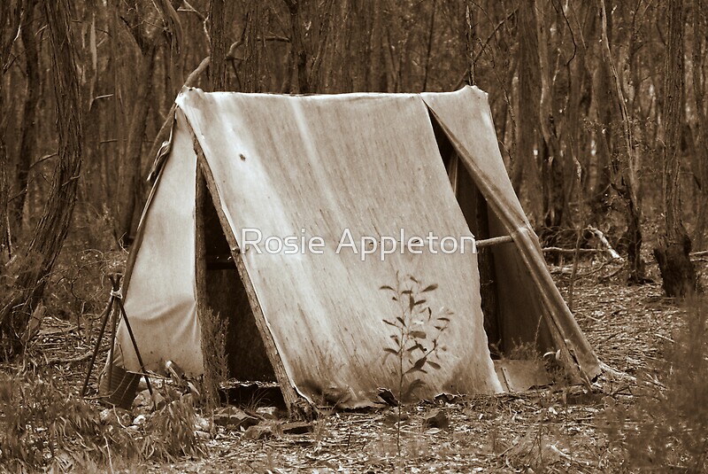 &ldquo;Miners tent&rdquo; by Rosie Appleton | Redbubble