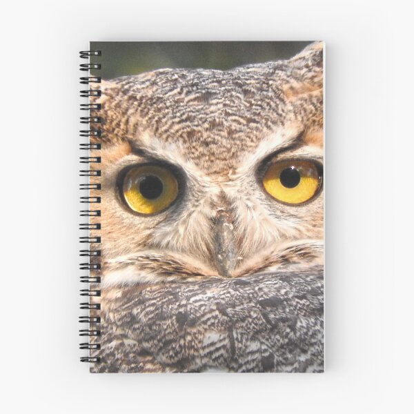 Item preview, great horned owl close up designed and sold by Stephanie  Skeem.