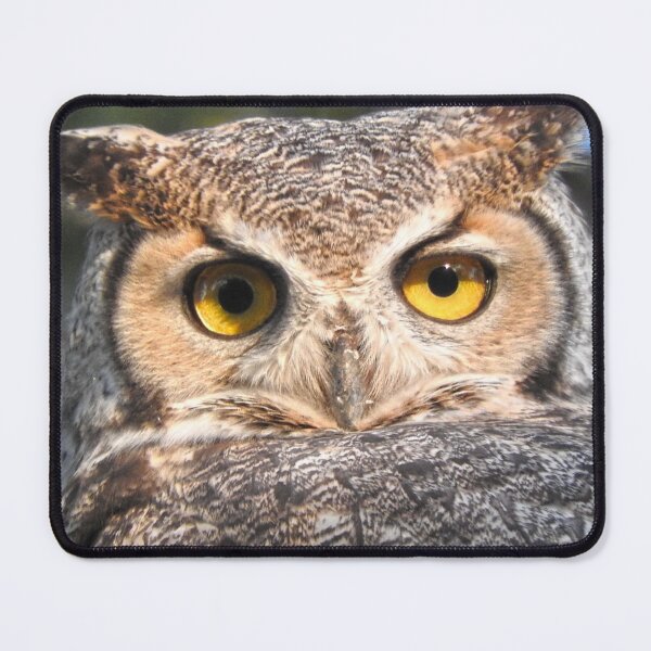 Item preview, great horned owl close up designed and sold by Stephanie  Skeem.