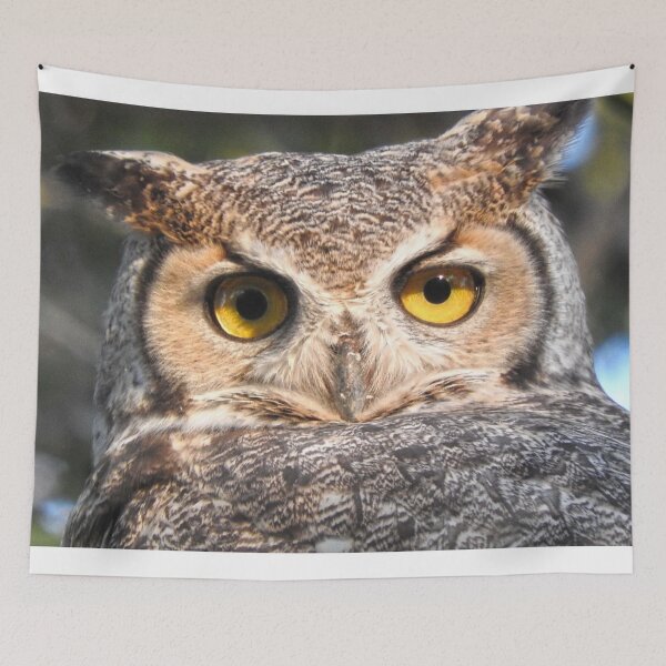 Item preview, great horned owl close up designed and sold by Stephanie  Skeem.