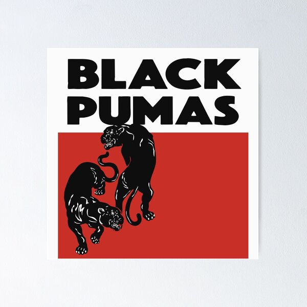 All black pumas poster sale