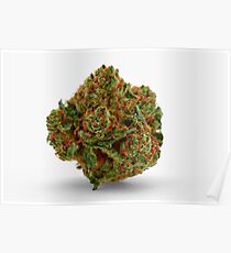 Mango Tango Marijuana Poster