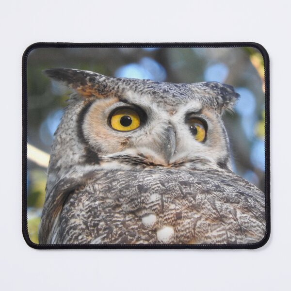 Item preview, wise horned owl  designed and sold by Stephanie  Skeem.