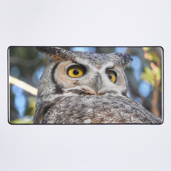 Item preview, wise horned owl designed and sold by Stephanie Skeem.