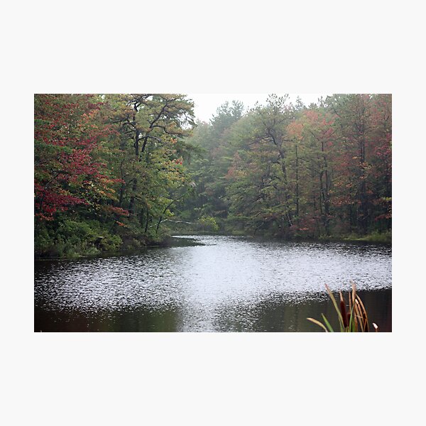 Item preview, River In Fall designed and sold by Rebecca Wilcox.