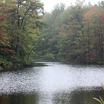 Artwork thumbnail, River In Fall by Rebecca Wilcox