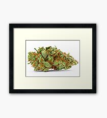 Space Queen Marijuana Framed Print