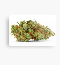 Raum Königin Marihuana Metalldruck